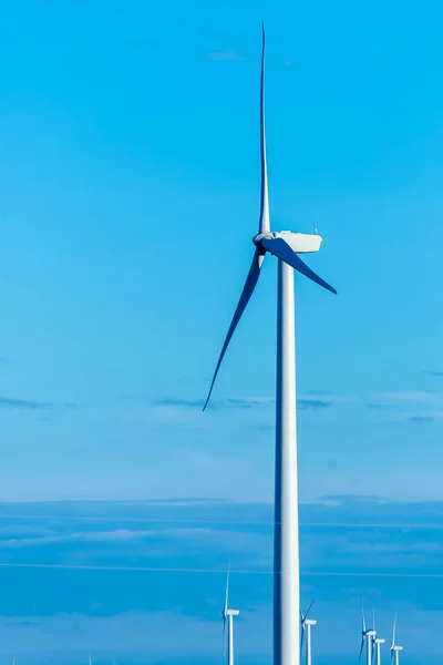 Renewable energy - wind turbines against a blue sky — Stock Photo, Image