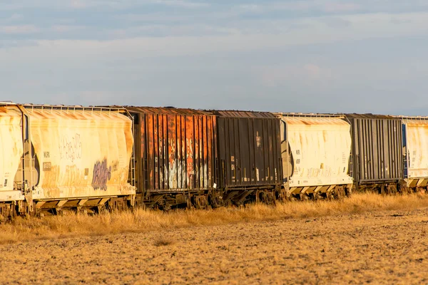 Paysage rural avec un train et un champ doré — Photo