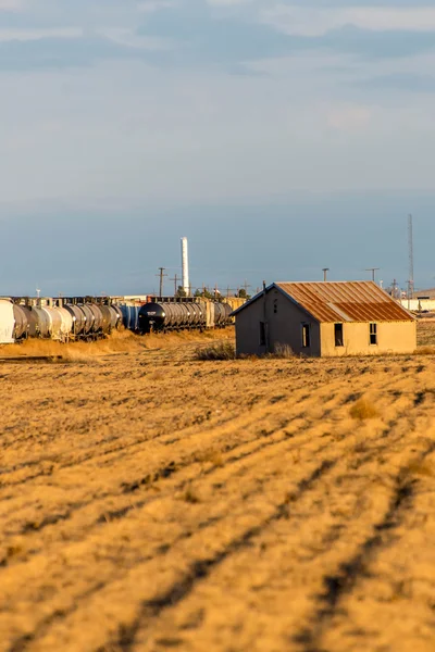 Paesaggio rurale con un treno e un campo d'oro — Foto Stock