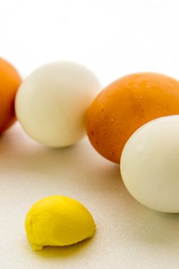 kahverengi ve beyaz yumurta ve sarısı