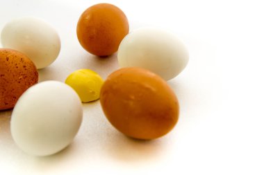 kahverengi ve beyaz yumurta ve sarısı