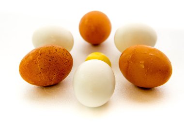 kahverengi ve beyaz yumurta ve sarısı