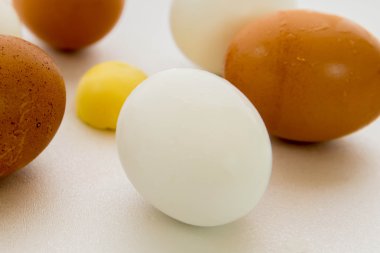 kahverengi ve beyaz yumurta ve sarısı