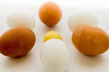 kahverengi ve beyaz yumurta ve sarısı