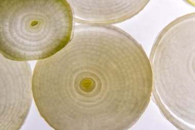 arkadan aydınlatmalı beyaz soğan dilimi