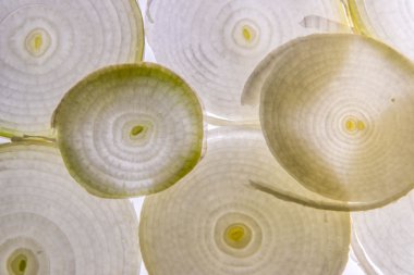 arkadan aydınlatmalı beyaz soğan dilimi