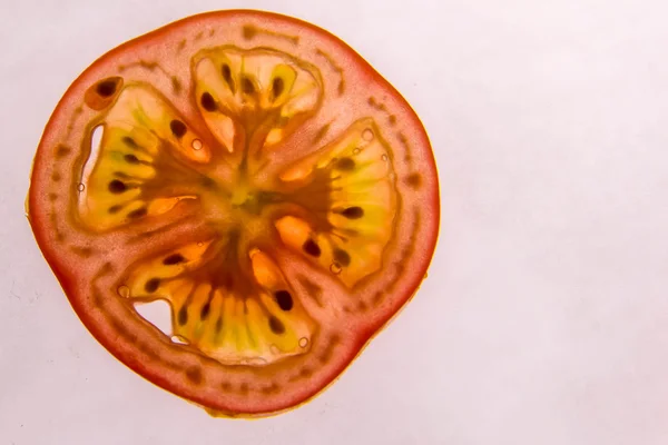 Hinterleuchtete geschnittene rote Tomaten — Stockfoto