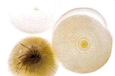 arkadan aydınlatmalı beyaz soğan dilimi