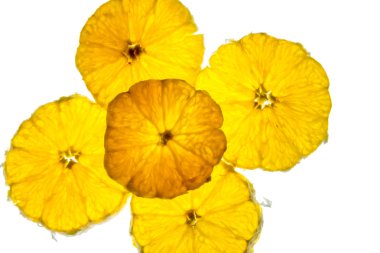 arkadan aydınlatmalı portakal dilimleri