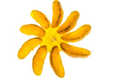 arkadan aydınlatmalı portakal dilimleri