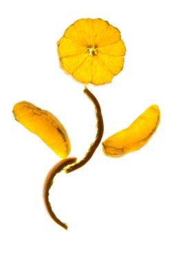 portakal dilimleri ve kabukları yapılmış çiçek