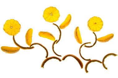 portakal dilimleri ve kabukları yapılmış çiçek