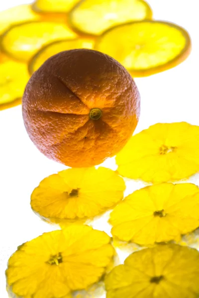 Rodajas de naranja retroiluminadas — Foto de Stock