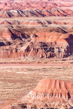 21 Aralık 2014 - taşlaşmış orman, Az, ABD