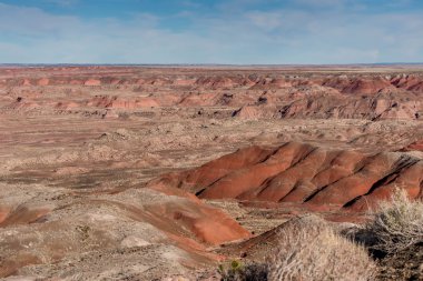 21 Aralık 2014 - taşlaşmış orman, Az, ABD