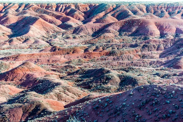 21 december 2014 - förstenade skogen, Az, Usa — Stockfoto