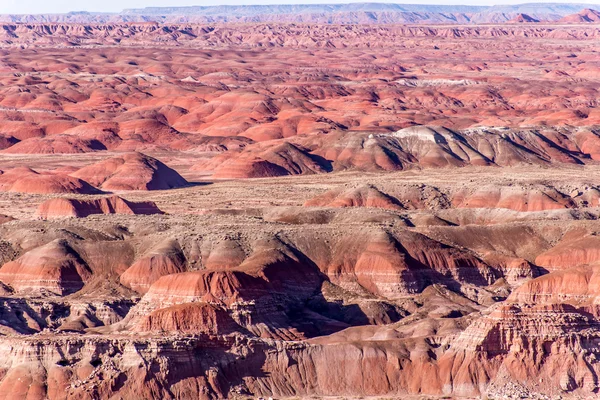 21 december 2014 - förstenade skogen, Az, Usa — Stockfoto