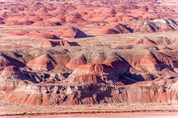 21 december 2014 - förstenade skogen, Az, Usa — Stockfoto