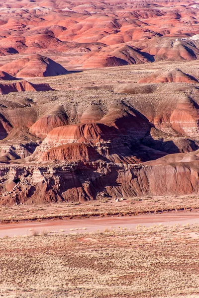 21 december 2014 - förstenade skogen, Az, Usa — Stockfoto