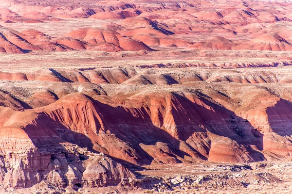 21 december 2014 - förstenade skogen, Az, Usa — Stockfoto