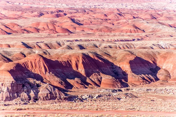 21 december 2014 - förstenade skogen, Az, Usa — Stockfoto