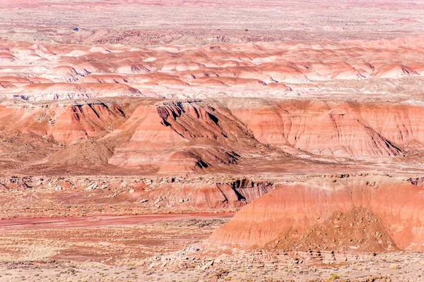 21 december 2014 - förstenade skogen, Az, Usa — Stockfoto