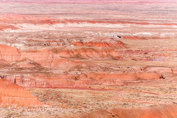 21 december 2014 - förstenade skogen, Az, Usa — Stockfoto