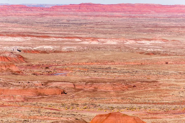 21 december 2014 - förstenade skogen, Az, Usa — Stockfoto