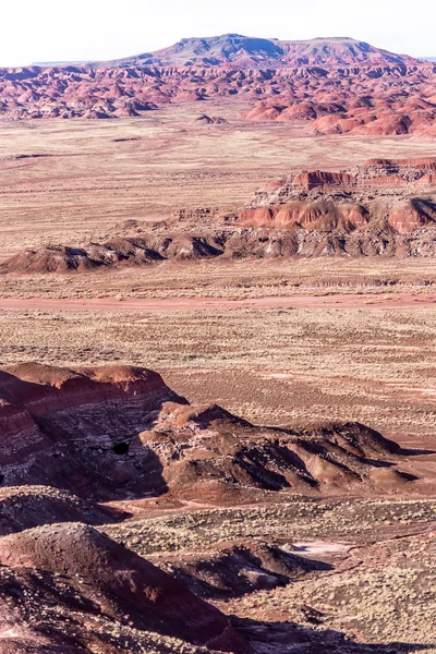 21 december 2014 - förstenade skogen, Az, Usa — Stockfoto