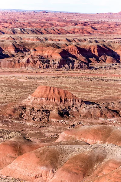 21 december 2014 - förstenade skogen, Az, Usa — Stockfoto