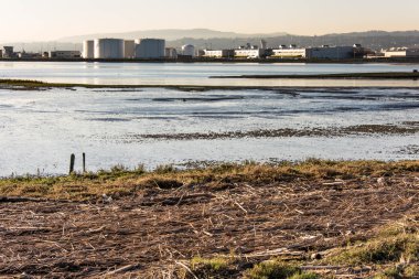 okyanus manzarası karşısında San Francisco Bay sulak