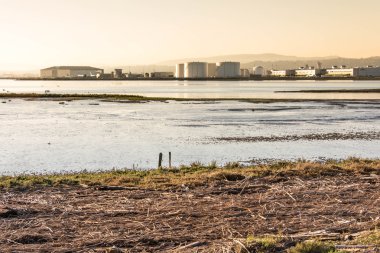 okyanus manzarası karşısında San Francisco Bay sulak