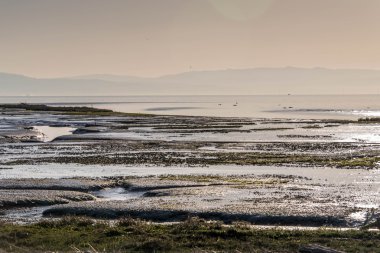 okyanus manzarası karşısında San Francisco Bay sulak