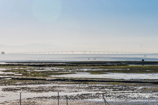 Ocean view across the San Francisco Bay wetlands — Stock Photo, Image