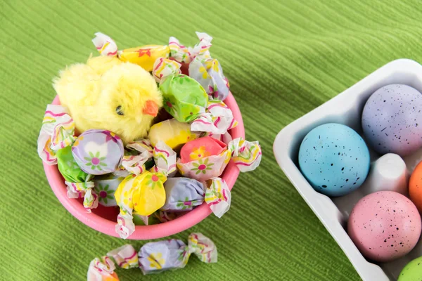 Colored Easter eggs and yellow chicks — Stock Photo, Image