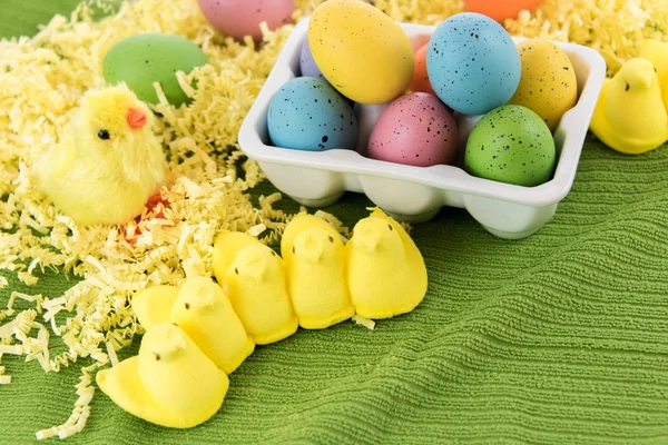 Colored Easter eggs and yellow chicks — Stock Photo, Image