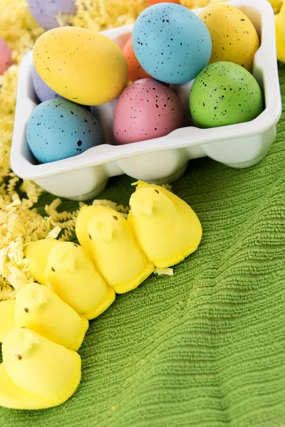 Ovos de Páscoa coloridos e pintos amarelos — Fotografia de Stock