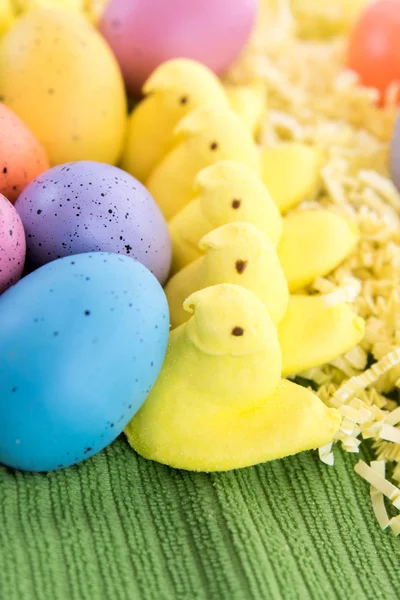 Färgade påskägg och gula kycklingar — Stockfoto