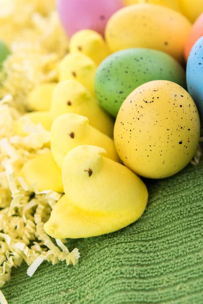 Huevos de Pascua de colores y polluelos amarillos — Foto de Stock