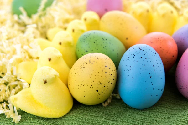 Färgade påskägg och gula kycklingar — Stockfoto