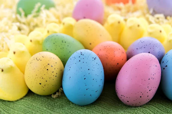Färgade påskägg och gula kycklingar — Stockfoto