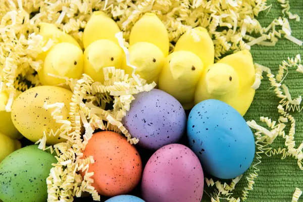 Färgade påskägg och gula kycklingar — Stockfoto