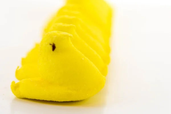 Amarillo pollitos de Pascua — Foto de Stock