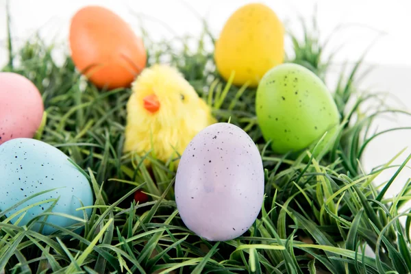 Färgade påskägg och gula ungen på gräs — Stockfoto