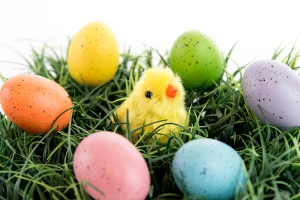 Uova di Pasqua colorate e pulcino giallo sull'erba — Foto Stock