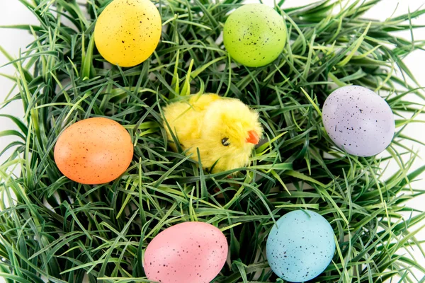 Colored Easter eggs and yellow chick on grass — Stock Photo, Image