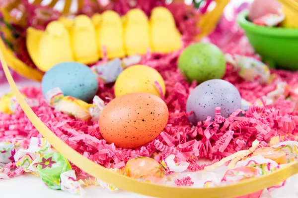 Cesta de Páscoa com ovos coloridos, pintinhos amarelos e doces — Fotografia de Stock