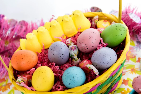 Cesta de Páscoa com ovos coloridos, pintinhos amarelos e doces — Fotografia de Stock