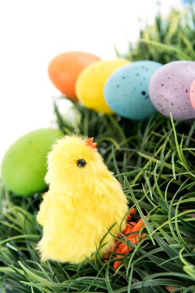 Colored Easter eggs and chick in grass — Stock Photo, Image