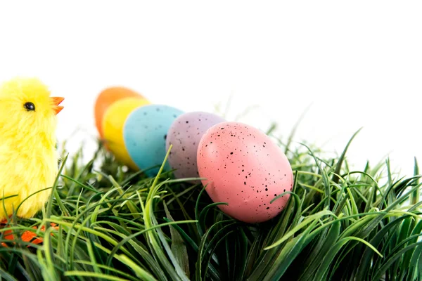 Uova di Pasqua colorate e pulcino in erba — Foto Stock